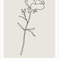 Botanicalineno14