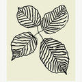 Botanicalineno21