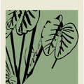 Botanicalineno47