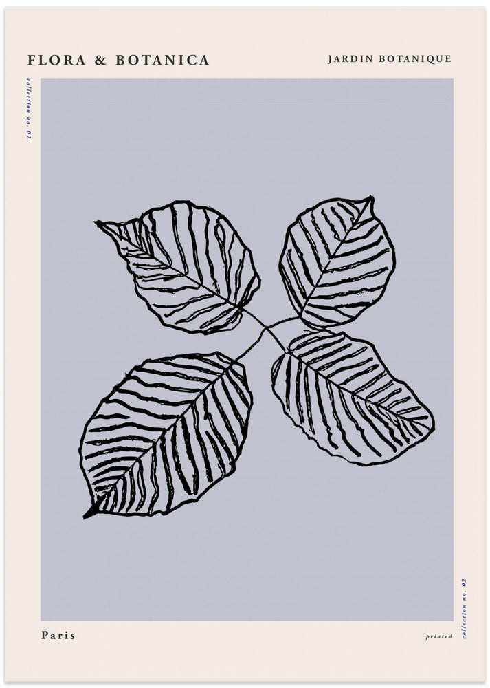 Florabotanicalineno06