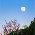 blue hour