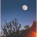blue hour burning