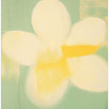 Modernartgalleryamsterdamno05