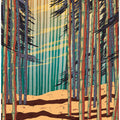 Bamboo Forest