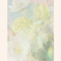 Softspokenno08