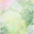 Softspokenno09