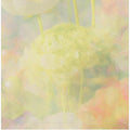 Softspokenno20