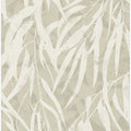 Eucalyptus