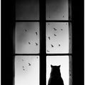 winter is coming