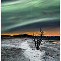 Magic Aurora
