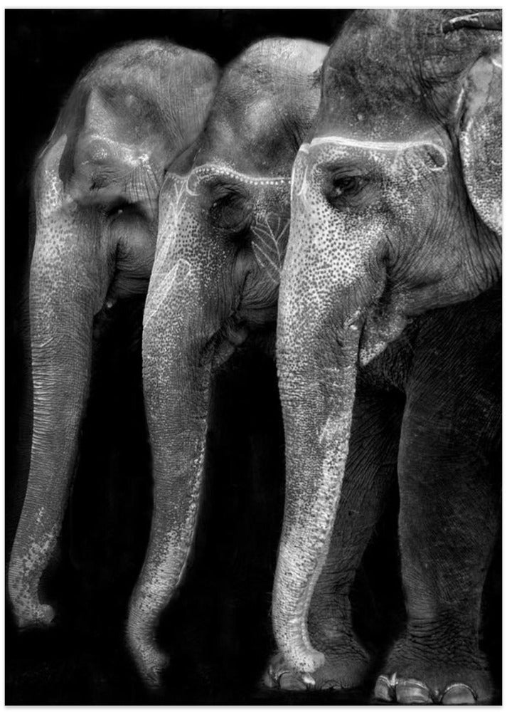 Nature\'s great masterpiece, an elephant; the only harmless great thing ...