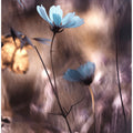 Lueur d'Automne