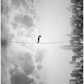 crossing