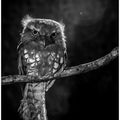 Alone in the night