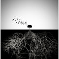 Art Prints of Do not judge according to appearance