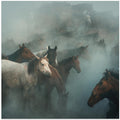 lost horses