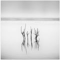 Vegoritida Lake 005