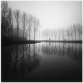 In dreams