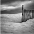 Fence
