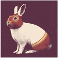 Lapin Catcheur