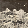 Giant White Wolves