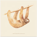 Css Animals Sloth
