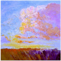 Vibrant Evening Sky