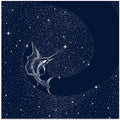 Art Prints of Starry Sailor