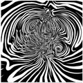 Illusion