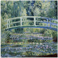 Water Lily Pond