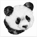 Cosmic Panda Square