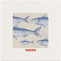 Blue Fish Harmony