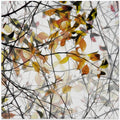 autumn song