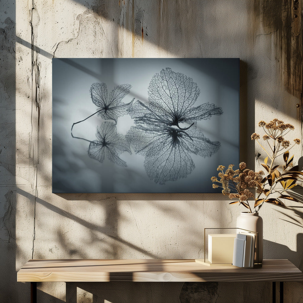 Ephemeral Beauty