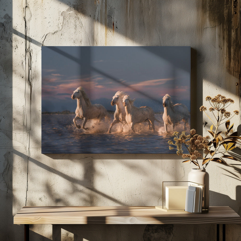 Angels of Camargue