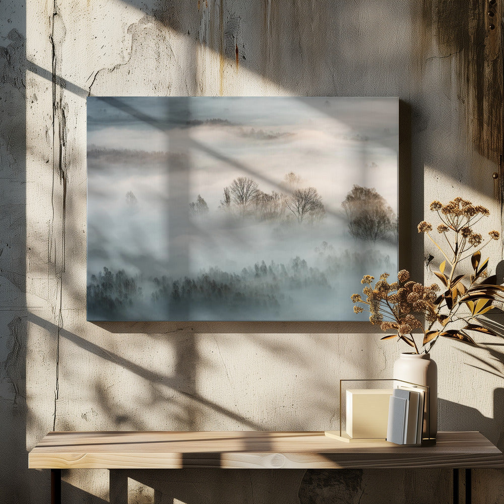 Winter fog