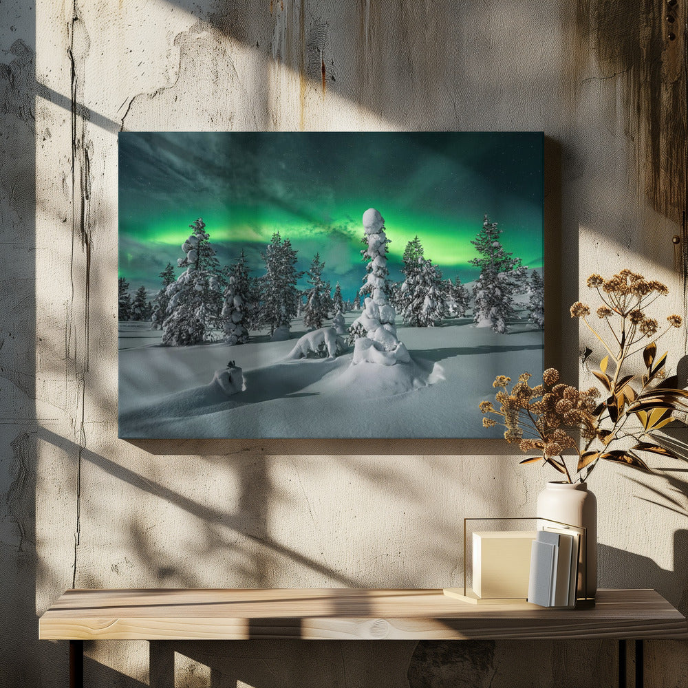 polar night