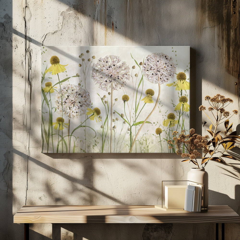 Alliums and heleniums