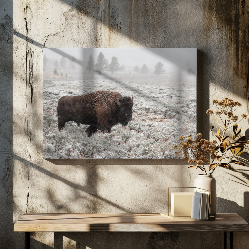 Late Fall Yellowstone