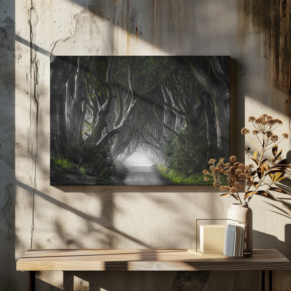 DARK HEDGES