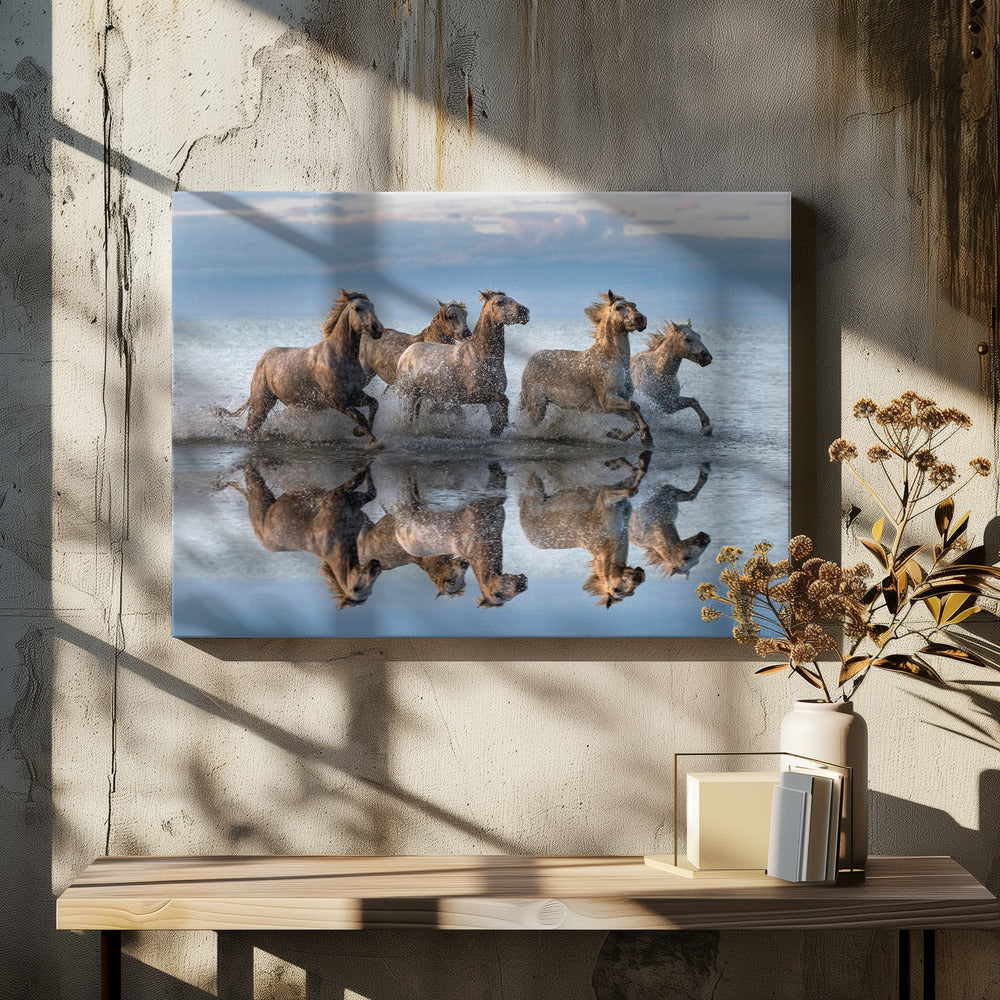 Horses and reflection