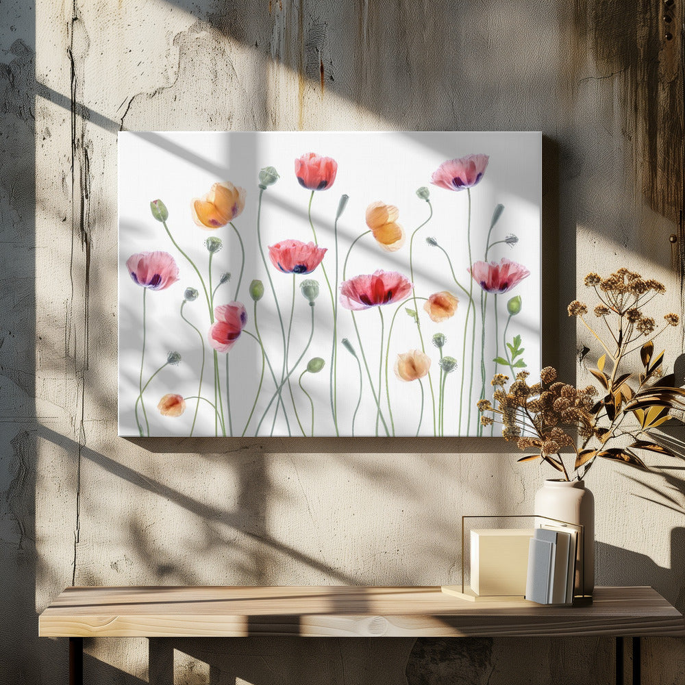 Papaver party