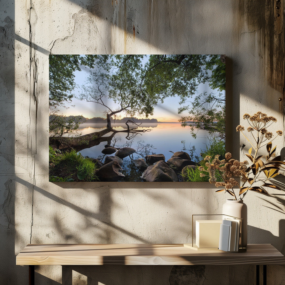 Lake view