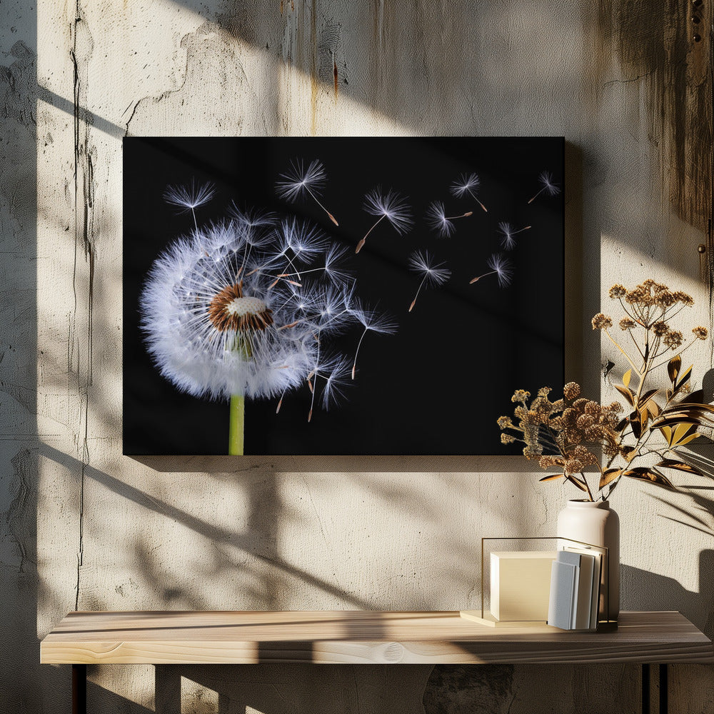 Dandelion Blowing