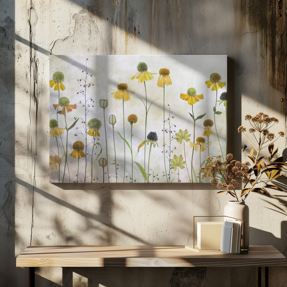 Helenium