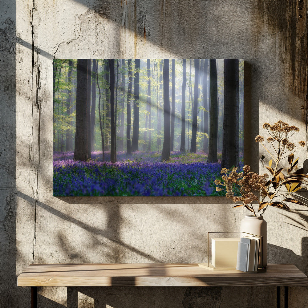 Bluebells