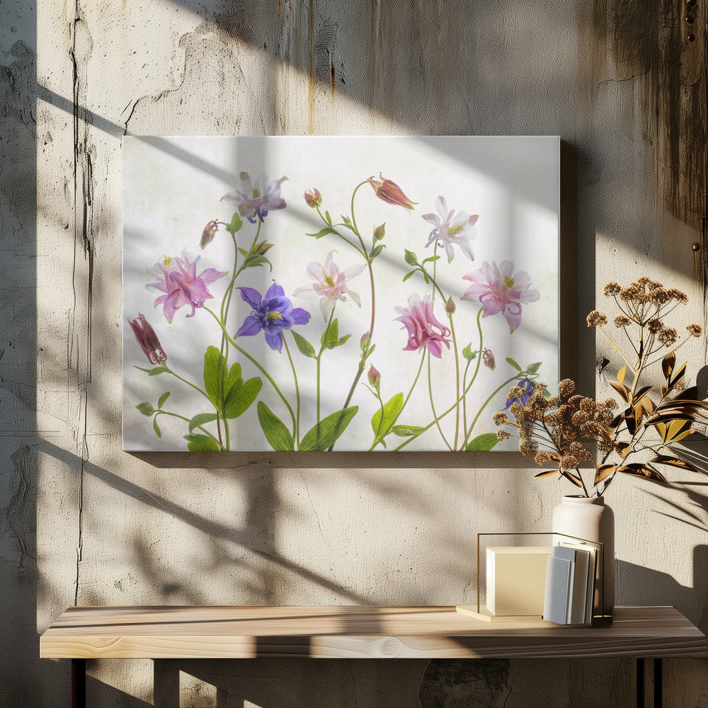 Columbine