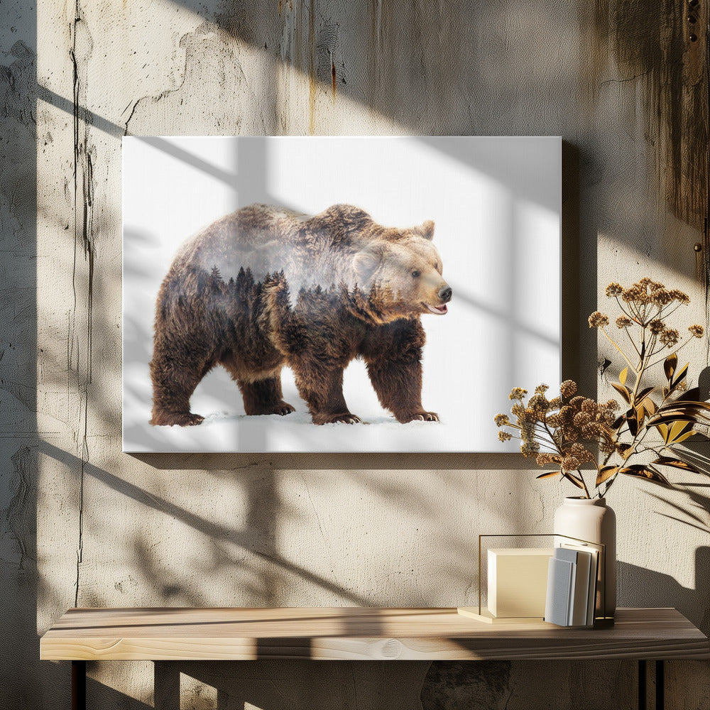 Bear