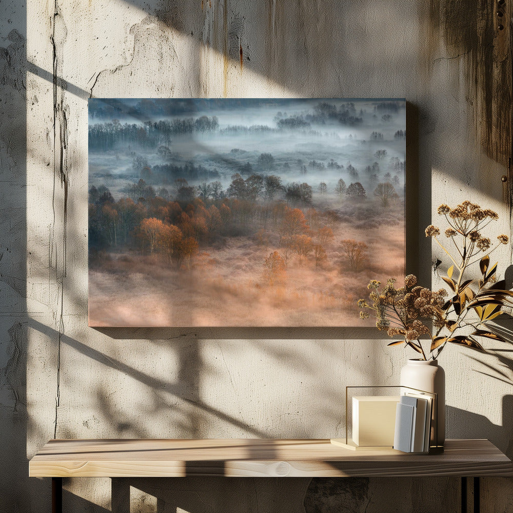 Autumnal misty dawn