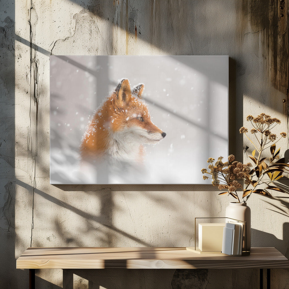 Snow is falling…